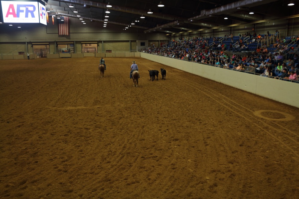 Tulsa State Fair Cattle Grading Contest Photo Gallery American